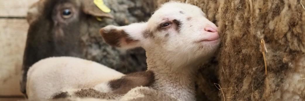 Your choice makes a difference Your choice makes a difference