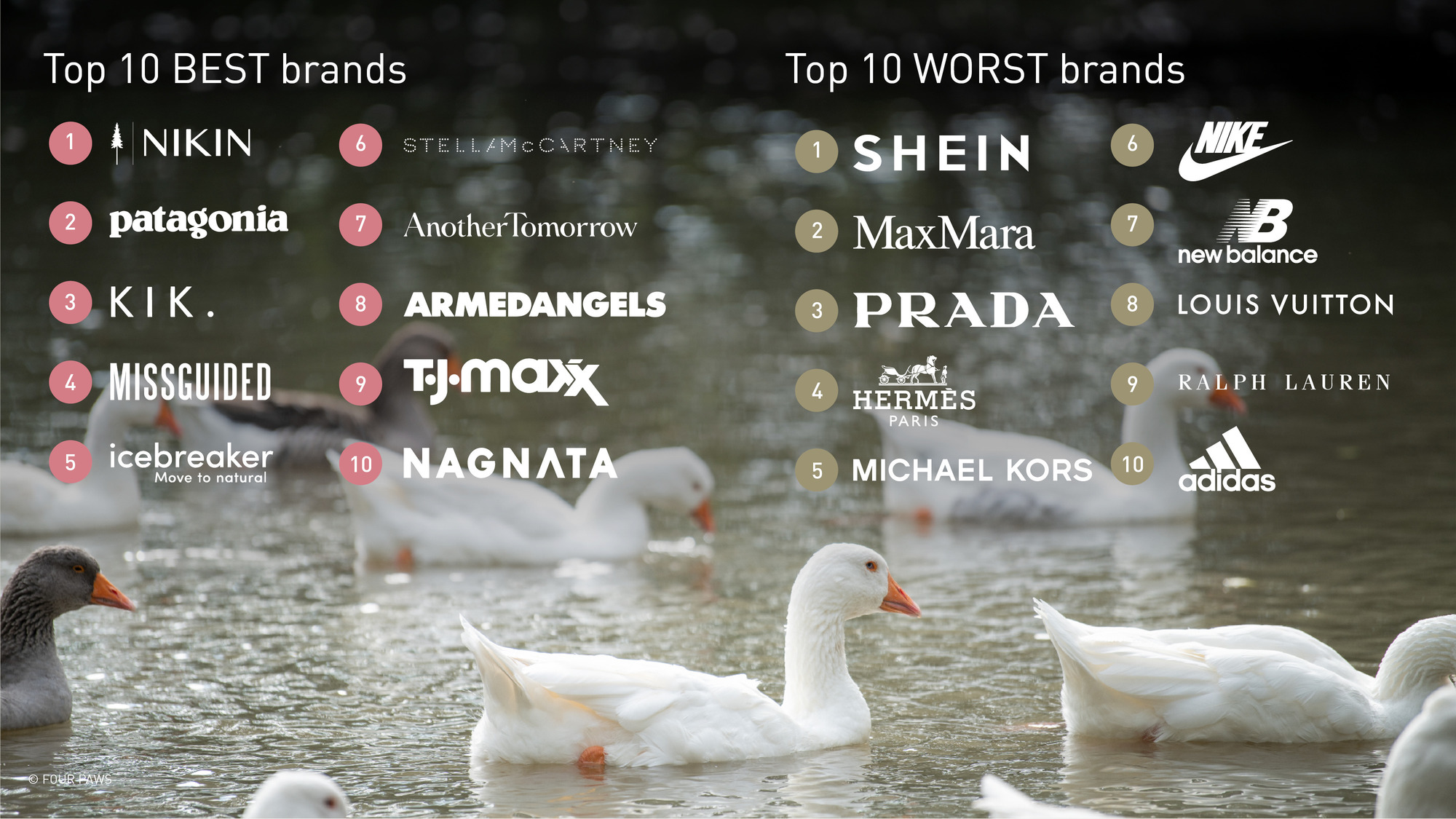 Brand Ranking from the Animal Welfare in Fashion Report 2023