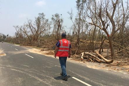 Disaster relief for animals