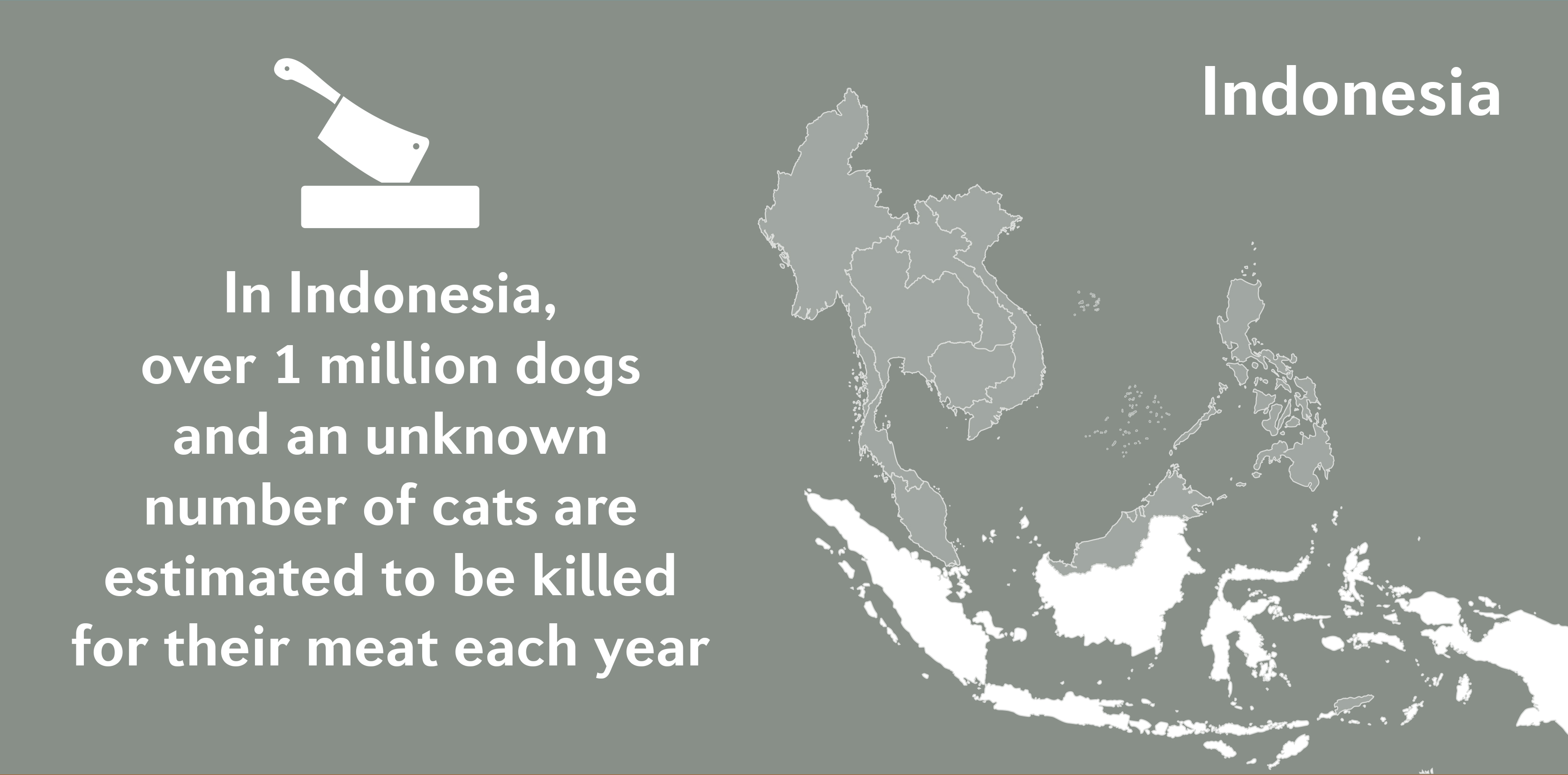 DCMT Report Graphics | Indonesia | EN