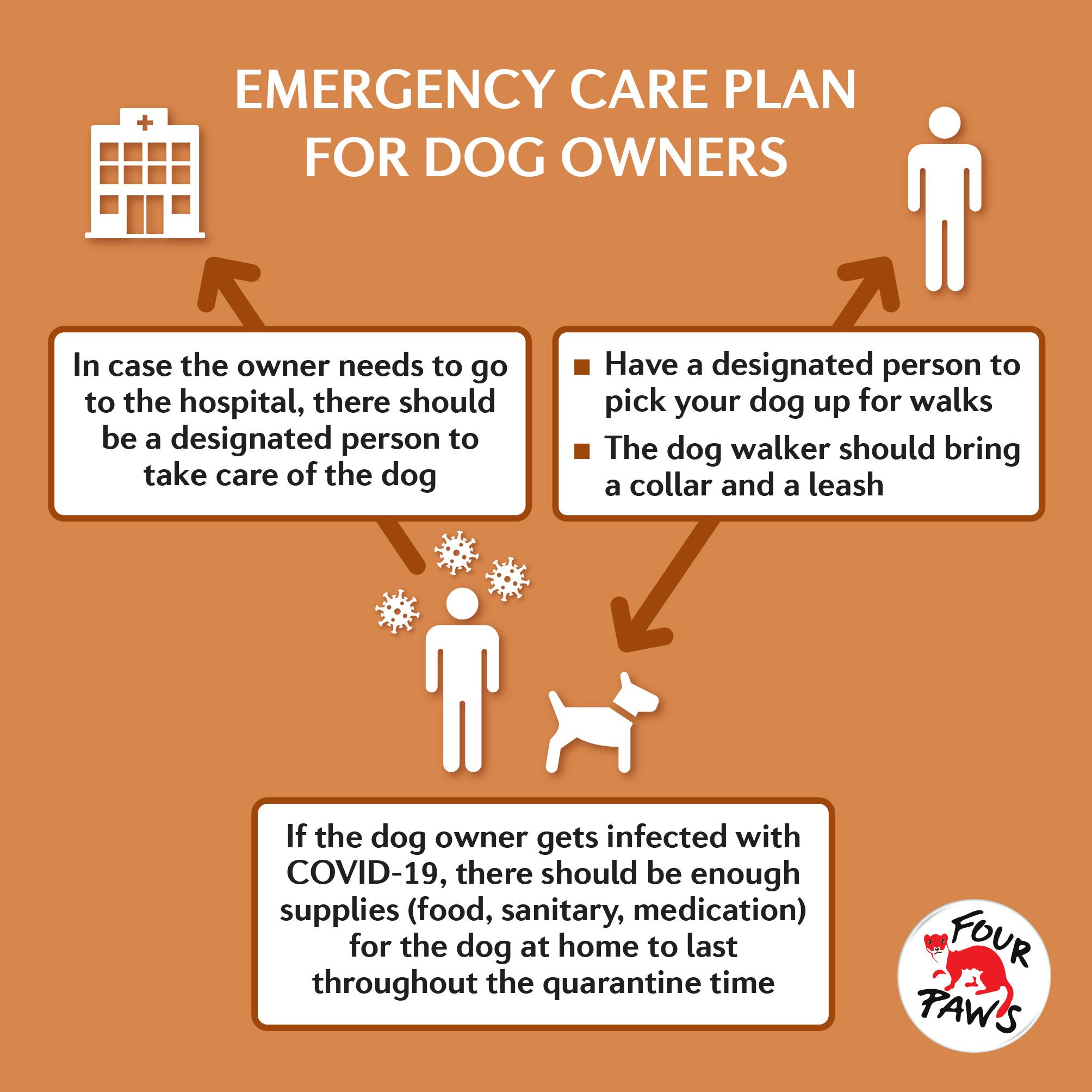 Emergency Care Plan Infographic