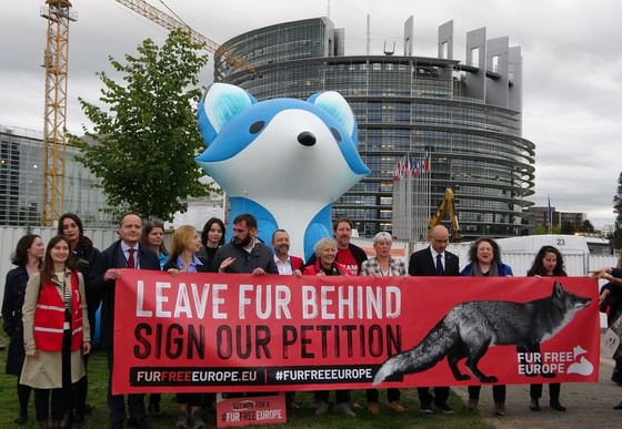 Raccoon dogs in a cage at a fur farm