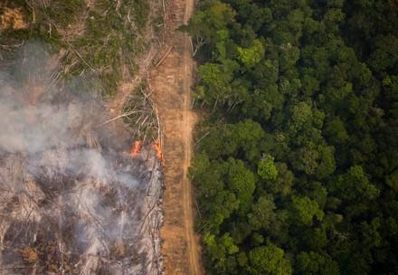 Amazon Rainforest in Burning Season