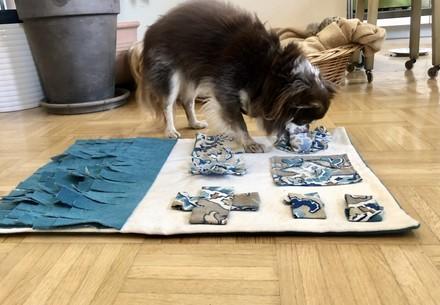 Snuffle mat for dogs 