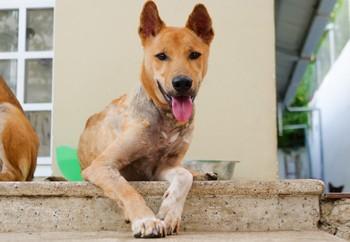 Archie happy in his recovery