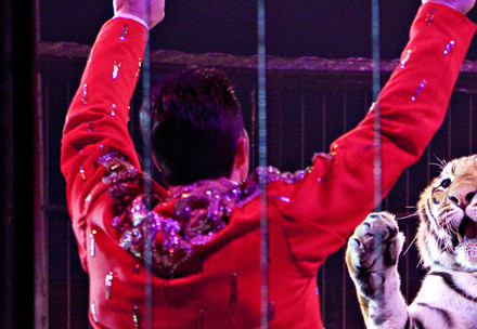 Tamer and tiger in a circus