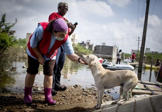 Y´our Team in Chennai, 2015