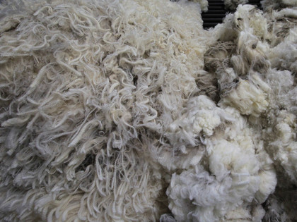 Wool industry Wool industry