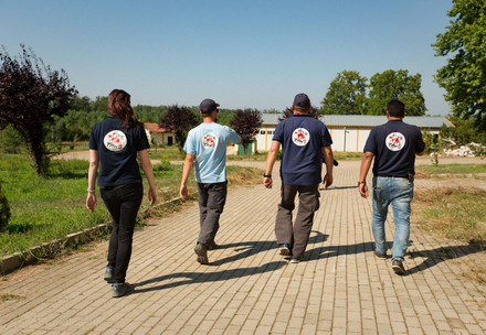 Helping animals in wars and conflict zones Helping animals in wars and conflict zones