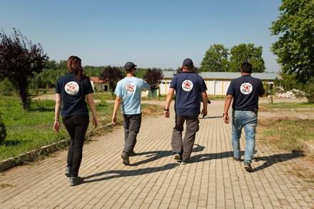 Helping animals in wars and conflict zones