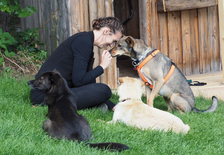 A woman and her three loved dogs A woman and her three loved dogs