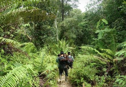 The Penjaga and Pengasuh - The Orangutan Guardians