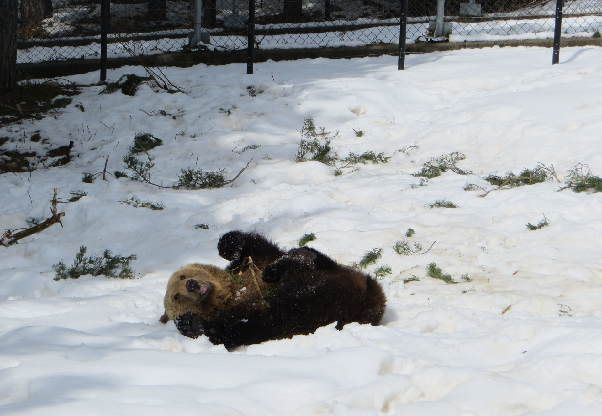 FAQ's about Hibernation