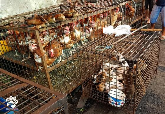 Meat market in Indonesia 