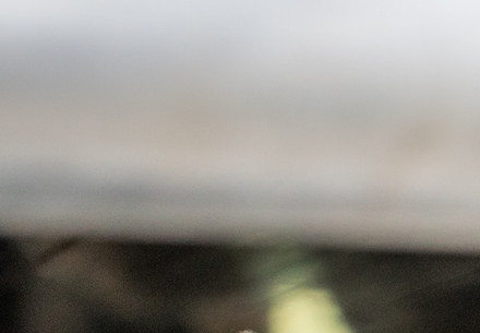 Cows in live animal transport