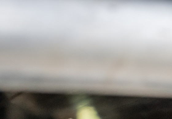 Sheep on live animal transport