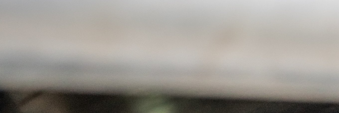 Help us end live animal transport Sheep at the Turkish border