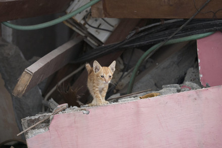 Lombok's lost paradise