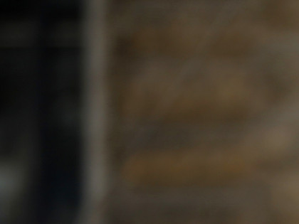 volunteer at a street action