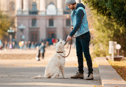 Man with dog on a leash