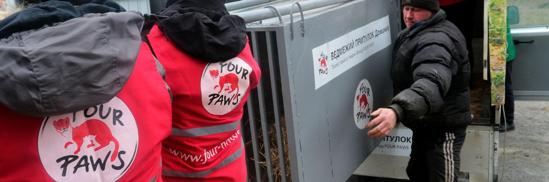 FOUR PAWS team in action: men carrying a transport crate into a van