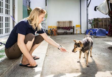 FOUR PAWS Southeast Asia Partnership Programme