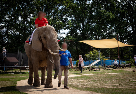 Two people riding a captive elephant