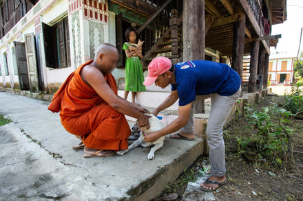 World Rabies Day: The ultimate fight against rabies in Myanmar continues