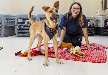 Dog sitting next to a woman