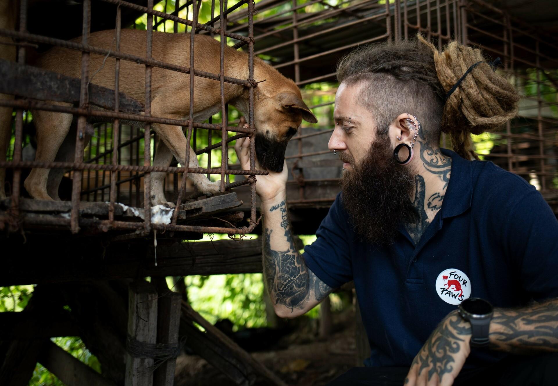 FOUR PAWS staff member next to a dog in a cage
