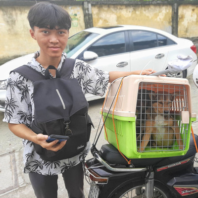 Rescue dogs Rum and Cola