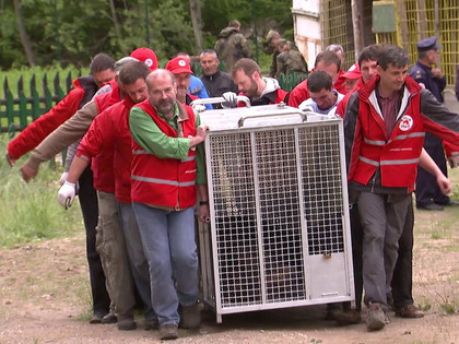 FOUR PAWS rescue mission