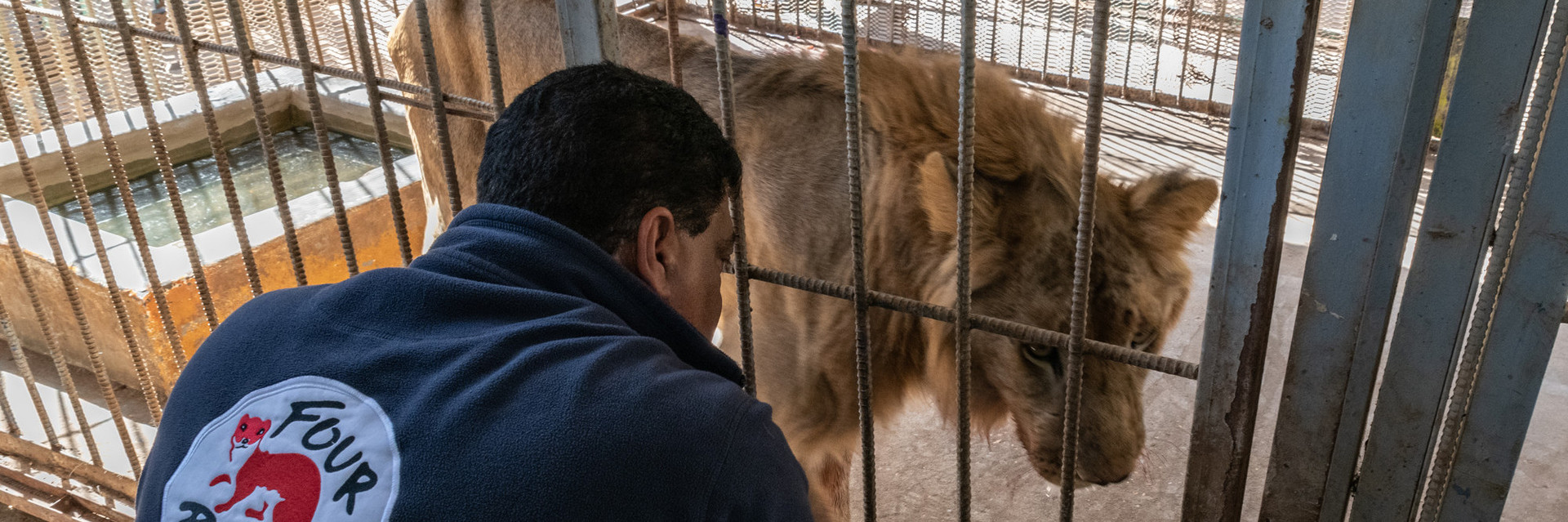 Amir Khalil in Sudan