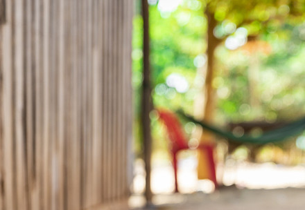 Rescue Dog Ginou Rescue Dog Ginou