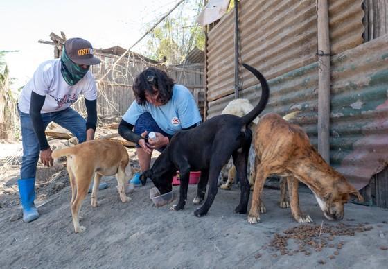 Our mission in the Philippines