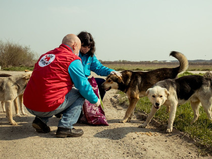 FOUR PAWS rescue mission