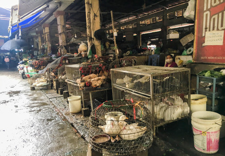 World Health Assembly Event Highlights How Governments are working with One Health to Prevent Future Pandemics