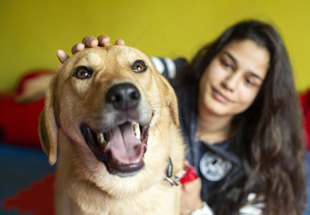 Dog Kaya in Bulgaria