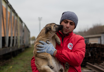 FOUR PAWS in Ukraine