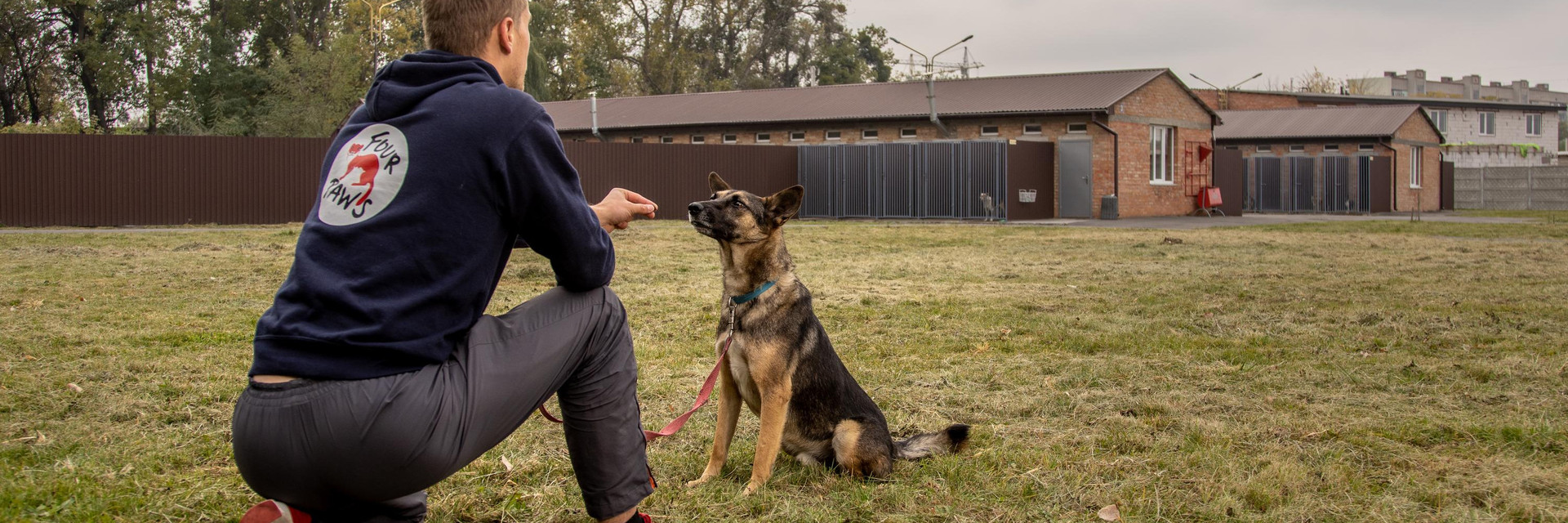 FOUR PAWS member working with dog at a shelter