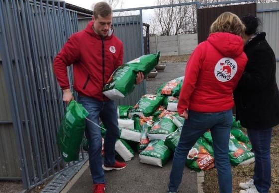 Urgent help to animal shelters in Ukraine
