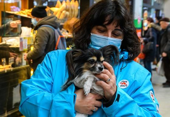 Help for Ukrainian animals in Romania