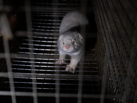 They suffer, we suffer