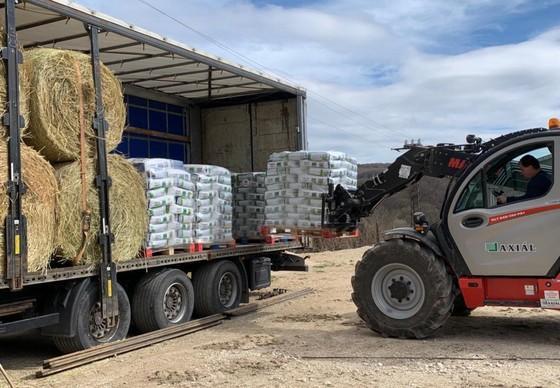 #FoodForAnimals in Ukriane