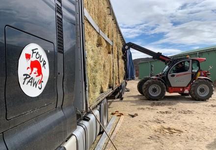 FOUR PAWS loading pet food supplies into a van headed to Ukraine