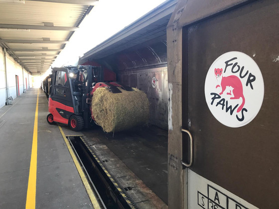 Animal food is being loaded on a train, that will go to Kiev, Ukraine to feed Zoo animals