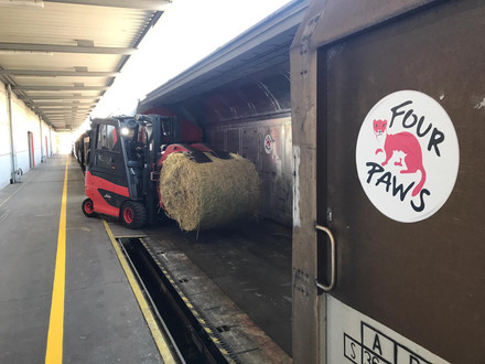 FOUR PAWS loading pet food supplies into a train headed to Ukraine