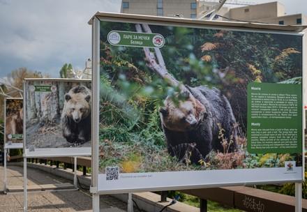 Belitsa exhibition at BEAR SANCTUARY Belitsa