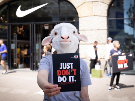 Press releases Campaigner in sheep costume