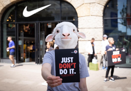 Nike just did it and says “no” to the mutilation of lambs Nike just did it and says “no” to the mutilation of lambs